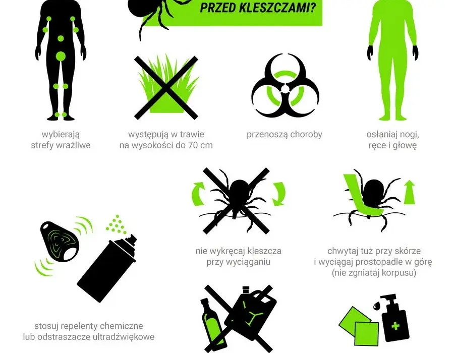 Bezpieczne sposoby ochrony dziecka przed kleszczami - poradnik