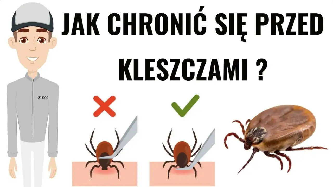 Zdjęcie Bezpieczne sposoby ochrony dziecka przed kleszczami - poradnik